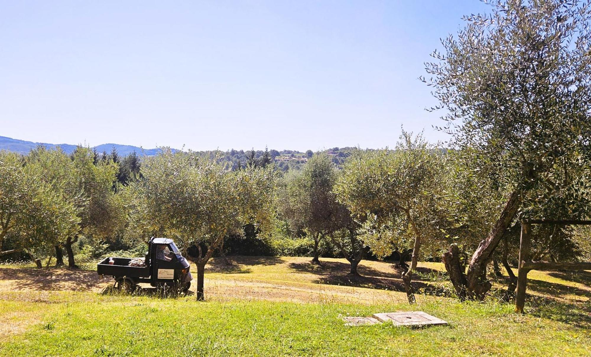 شقة Pian Della Bandina Città della Pieve المظهر الخارجي الصورة